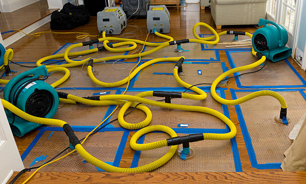Professional Storm Water Damage Restoration technician working in Winchester, KY